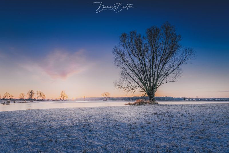 Winter morning фото превью