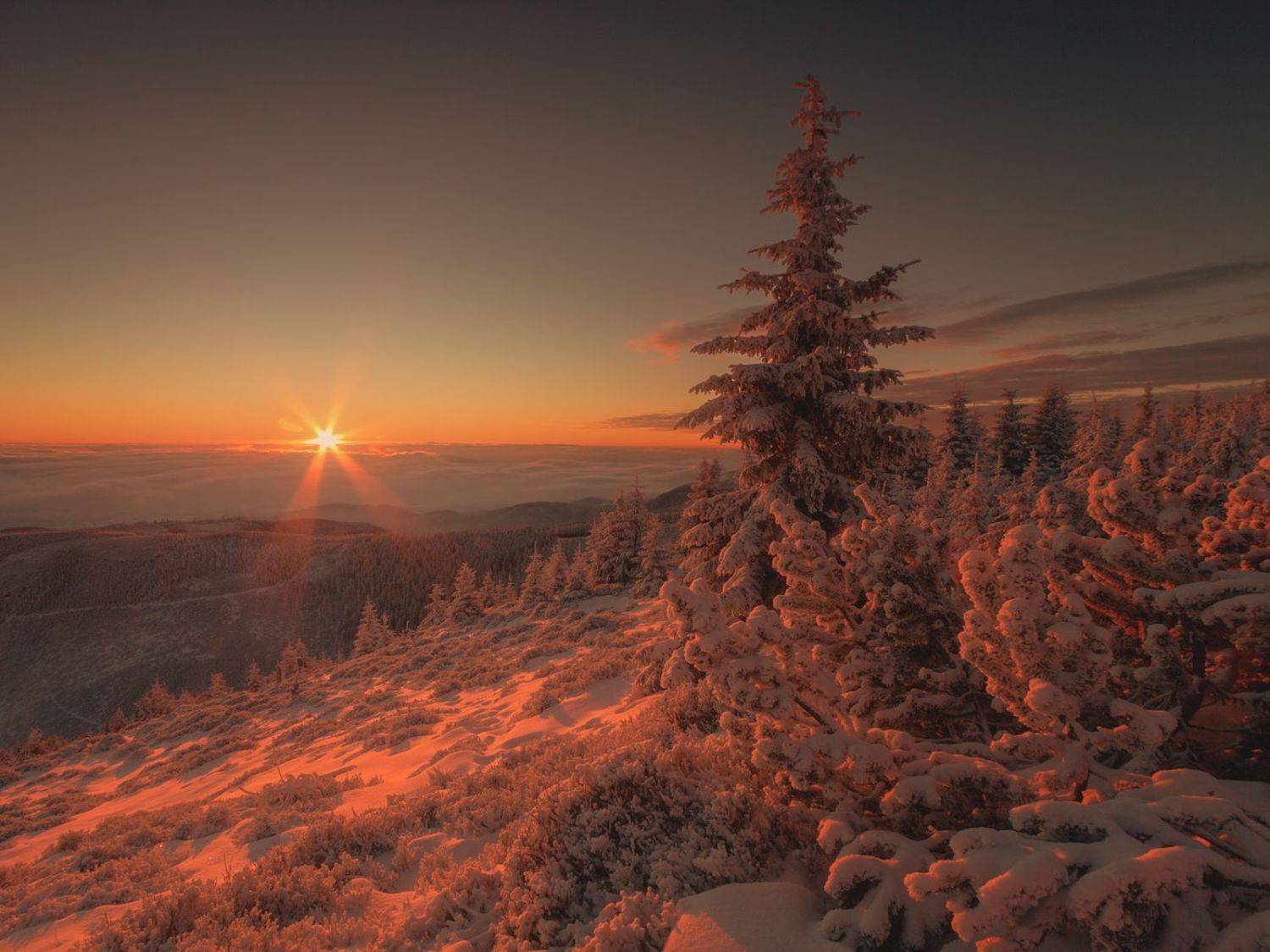 landscape,winter,mountains,canon, Iza i Darek Mitręga