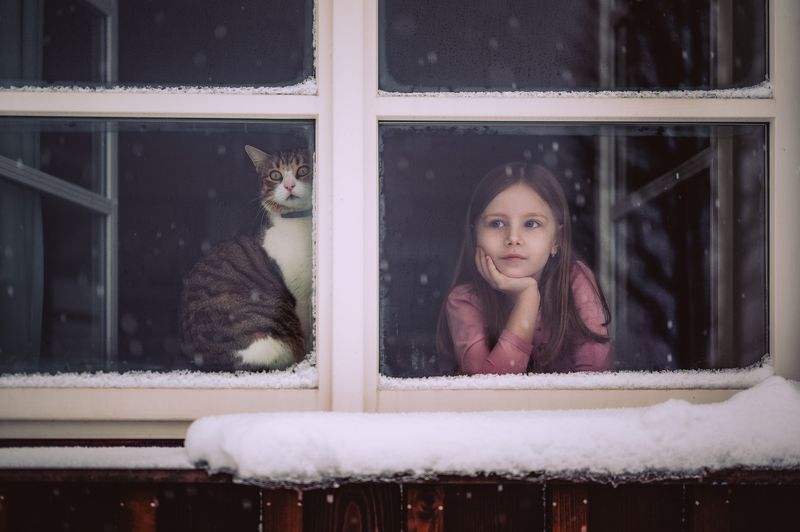 Рождественское время, christmas, девушка, girl, kids, ребенок, cat, winter, snow Waiting фото превью