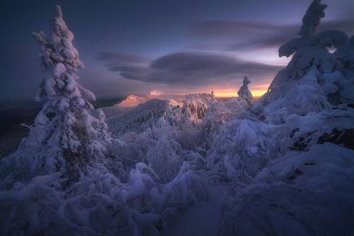 Таежная сказка