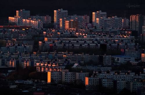 Вечерний мёд в городском улье...