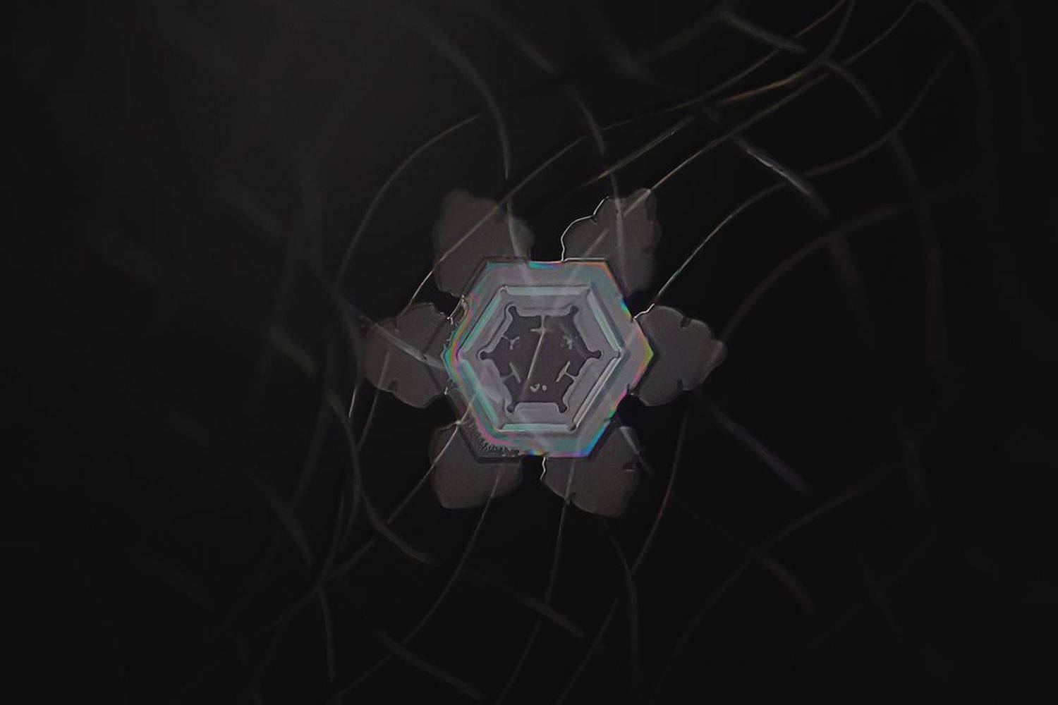 макро, снежинки, laowa, Фролова Евгения