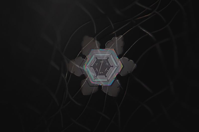 макро, снежинки, laowa Снежинка с радужным отливом фото превью