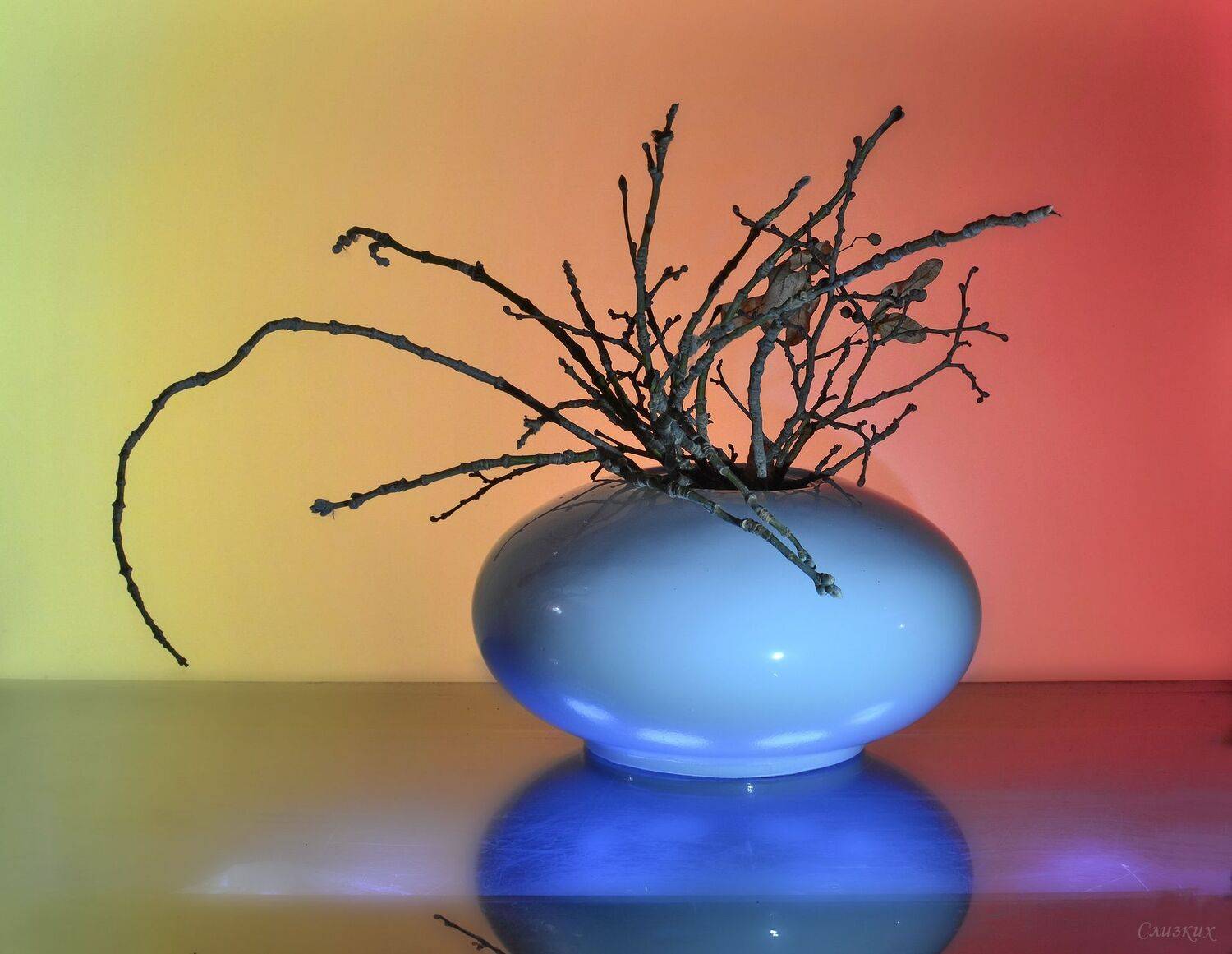 натюрморт,композиция,свет,ваза,ветки, Инаида