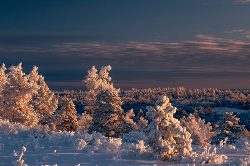 Портфолио фото превью