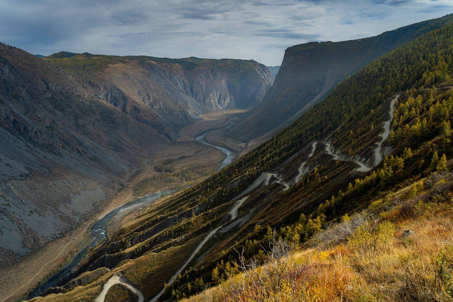 nature, Maria Pochikaeva
