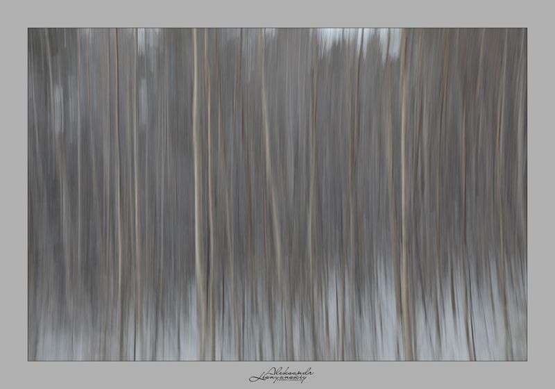 Забайллье Ситец фото превью