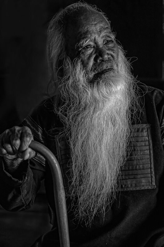 portrait Contemplation фото превью