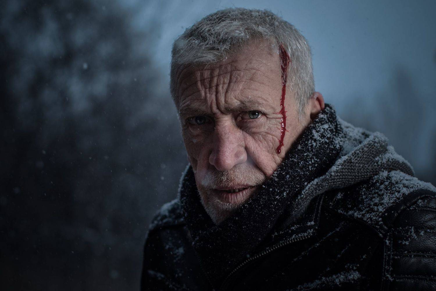 , Vladimir Karamazov