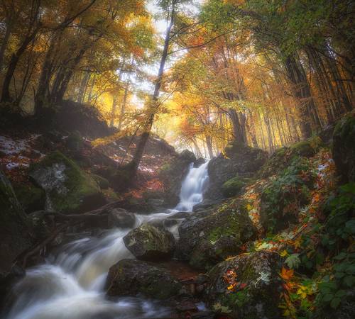 A memory of the autumn / Воспоминания об осени
