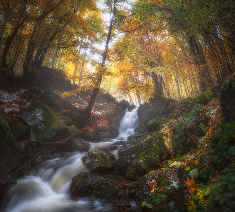 A memory of the autumn / Воспоминания об осени