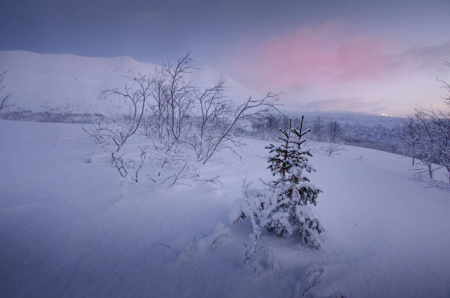 , Абрамов Денис