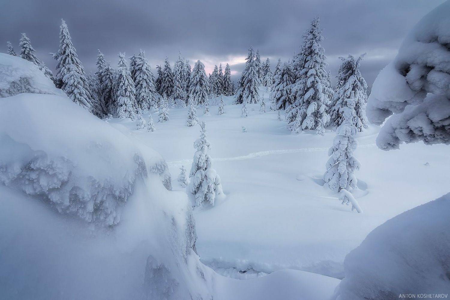 , Антон Кошетаров