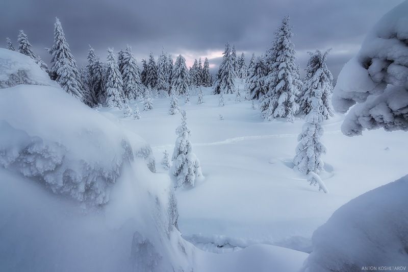 Без названия фото превью
