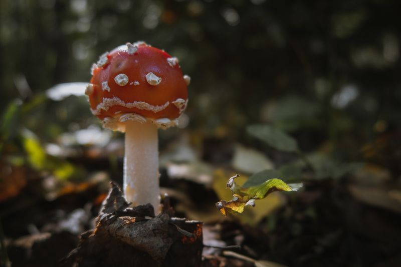 То чувство, когда наступил понедельник фото превью