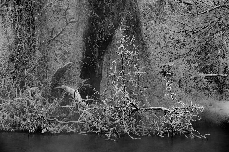 Там, на неведомых дорожках... фото превью