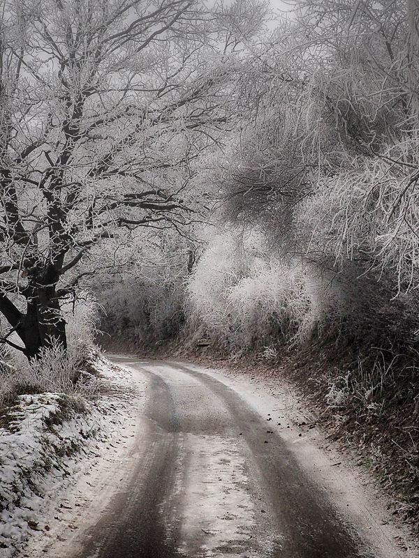 Winter walk фото превью