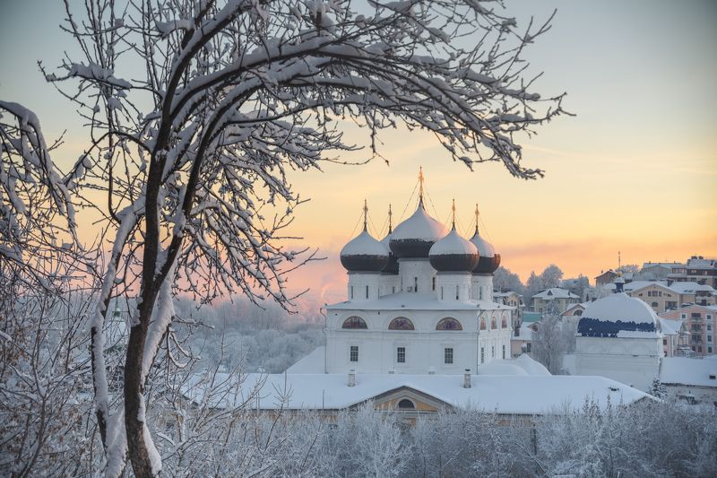 Под яблоней фото превью