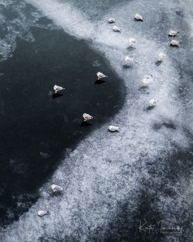 Озябшие фото превью