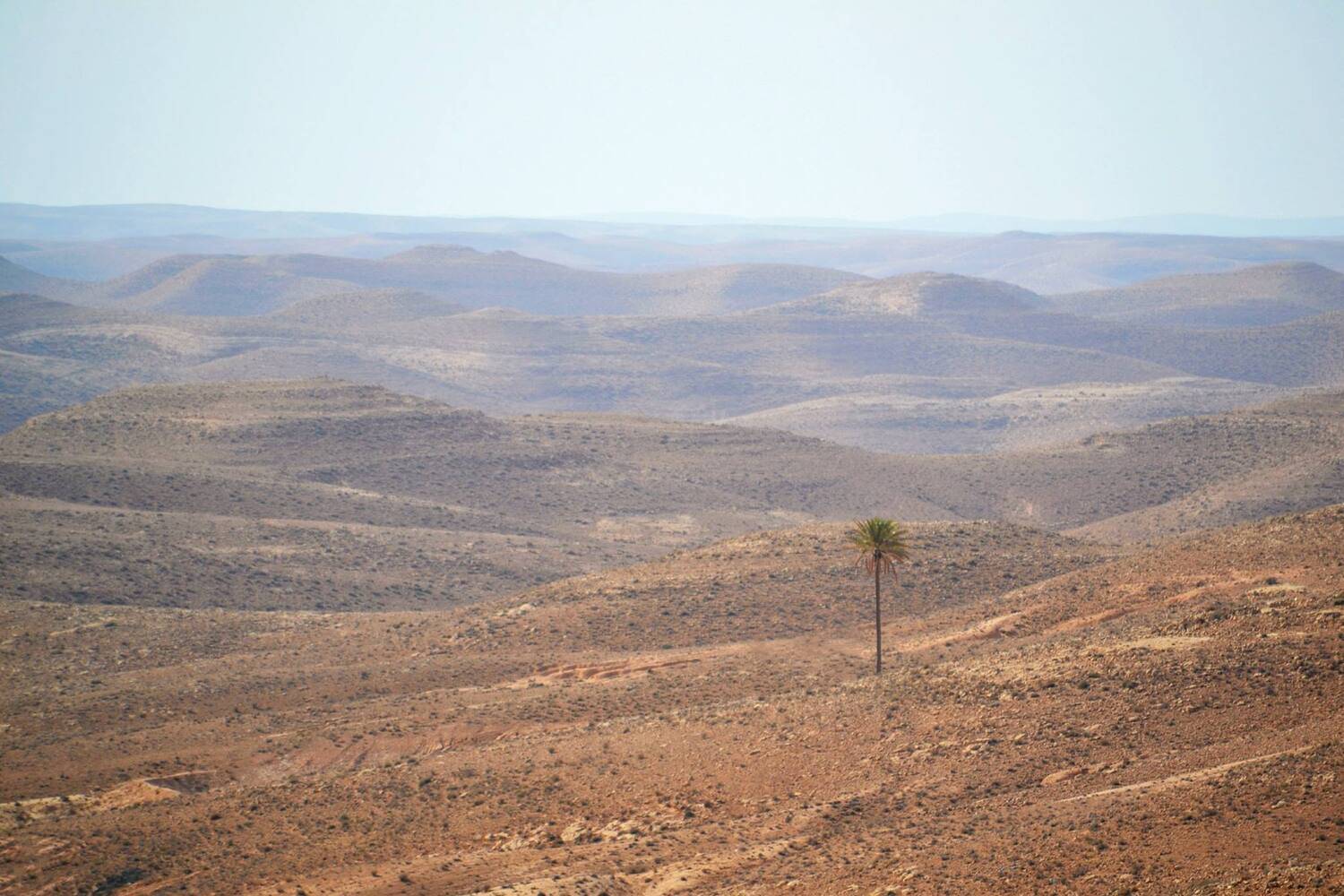 , Михаил Новиков