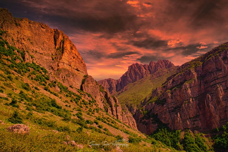 Golden Time фото превью