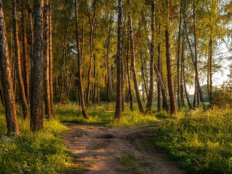 Свет уходящего дня фото превью