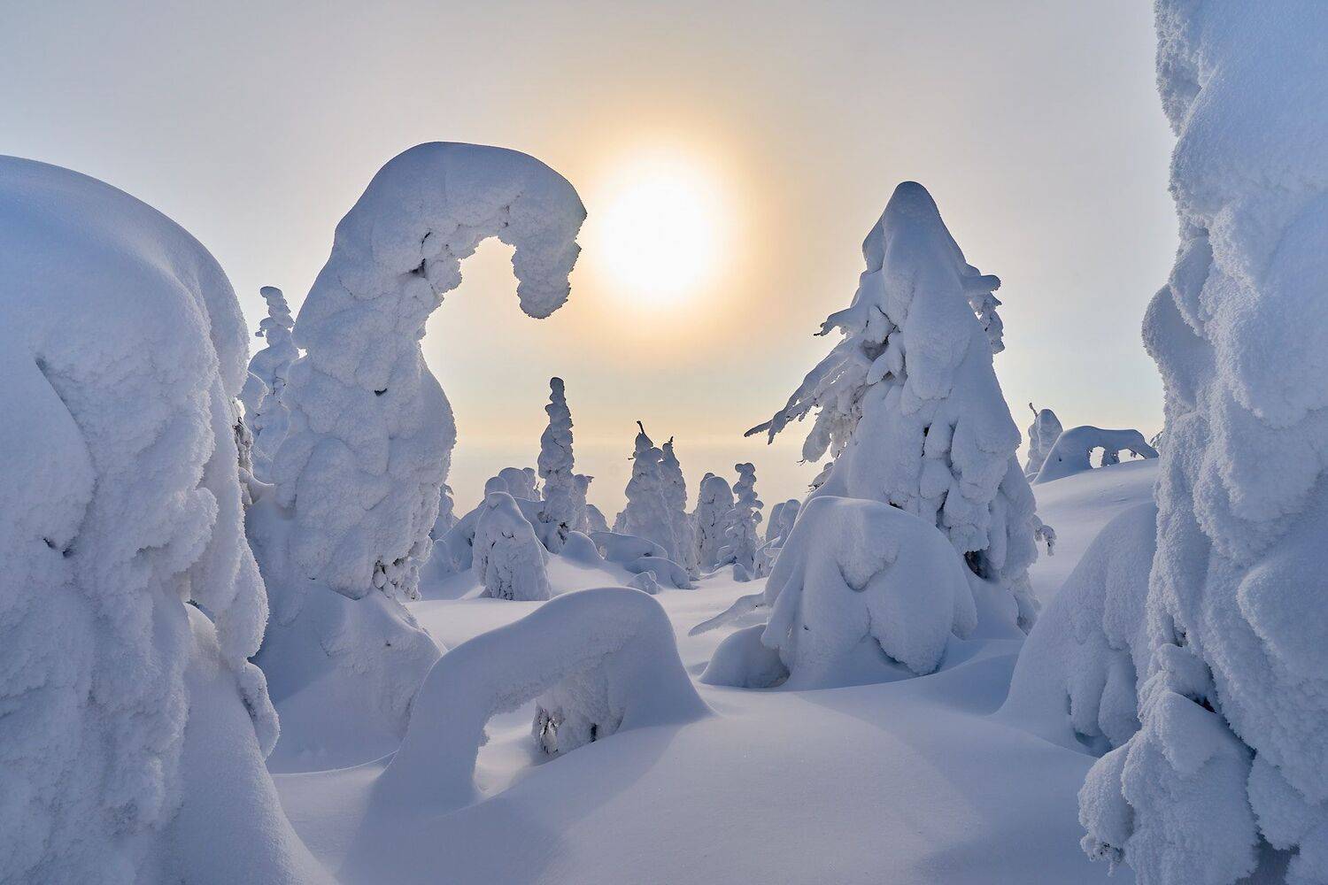 , Сергей Межин