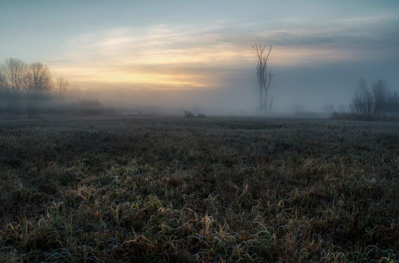 Осеннее утро фото превью
