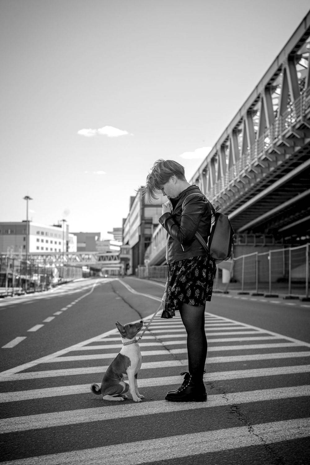 басенджи, щенок, город, прогулка, собака, собаки, черно-белое, pet, puppy, animal, basenji, Иван Вострецов