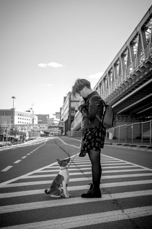 басенджи, щенок, город, прогулка, собака, собаки, черно-белое, pet, puppy, animal, basenji Прогулка фото превью