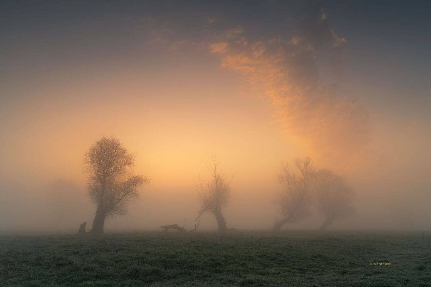 landscape, lowland, fog, clouds, trees, fields, Poland, , Hudzik Roman