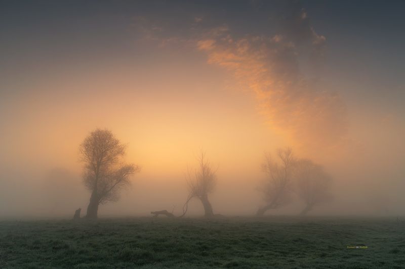 landscape, lowland, fog, clouds, trees, fields, Poland,  In the lowlands. фото превью