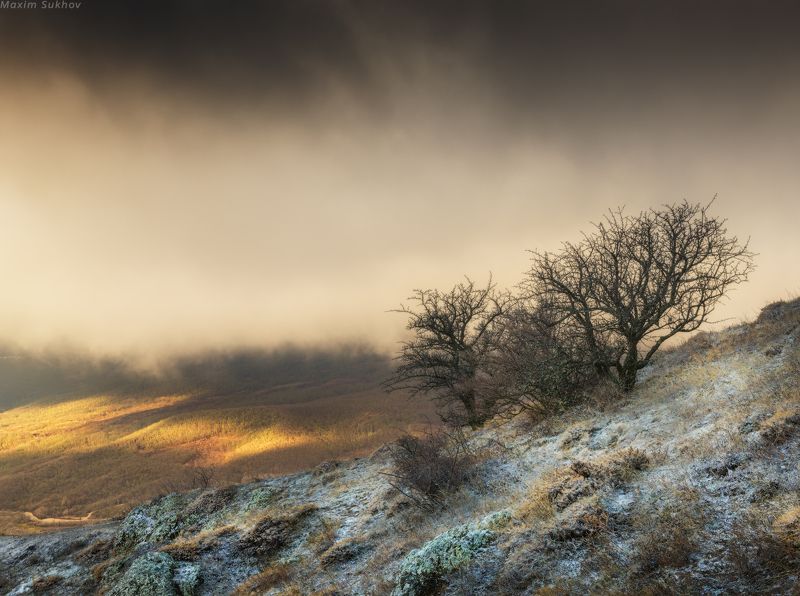 крым, демержди, зима, снег, горы, облака,солнце, сосны, кедры, камни, winter, snow, morning, mountains Зимний вид со склонов Демерджи фото превью