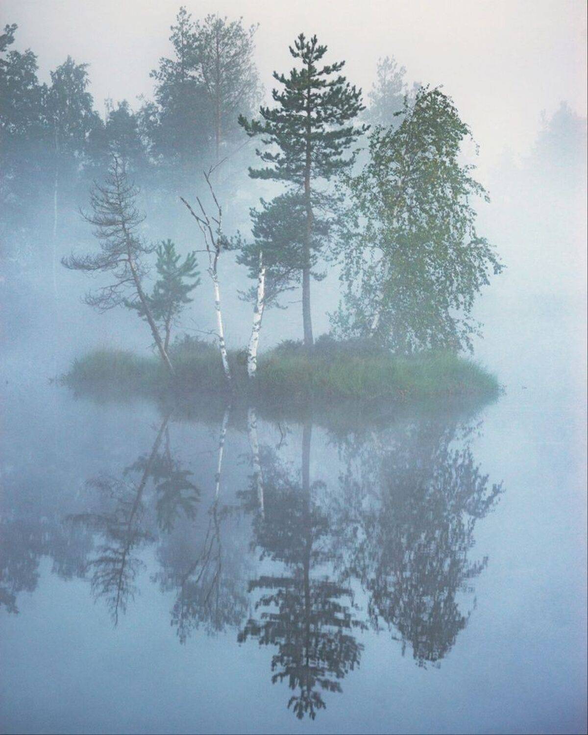 , Петр Косых