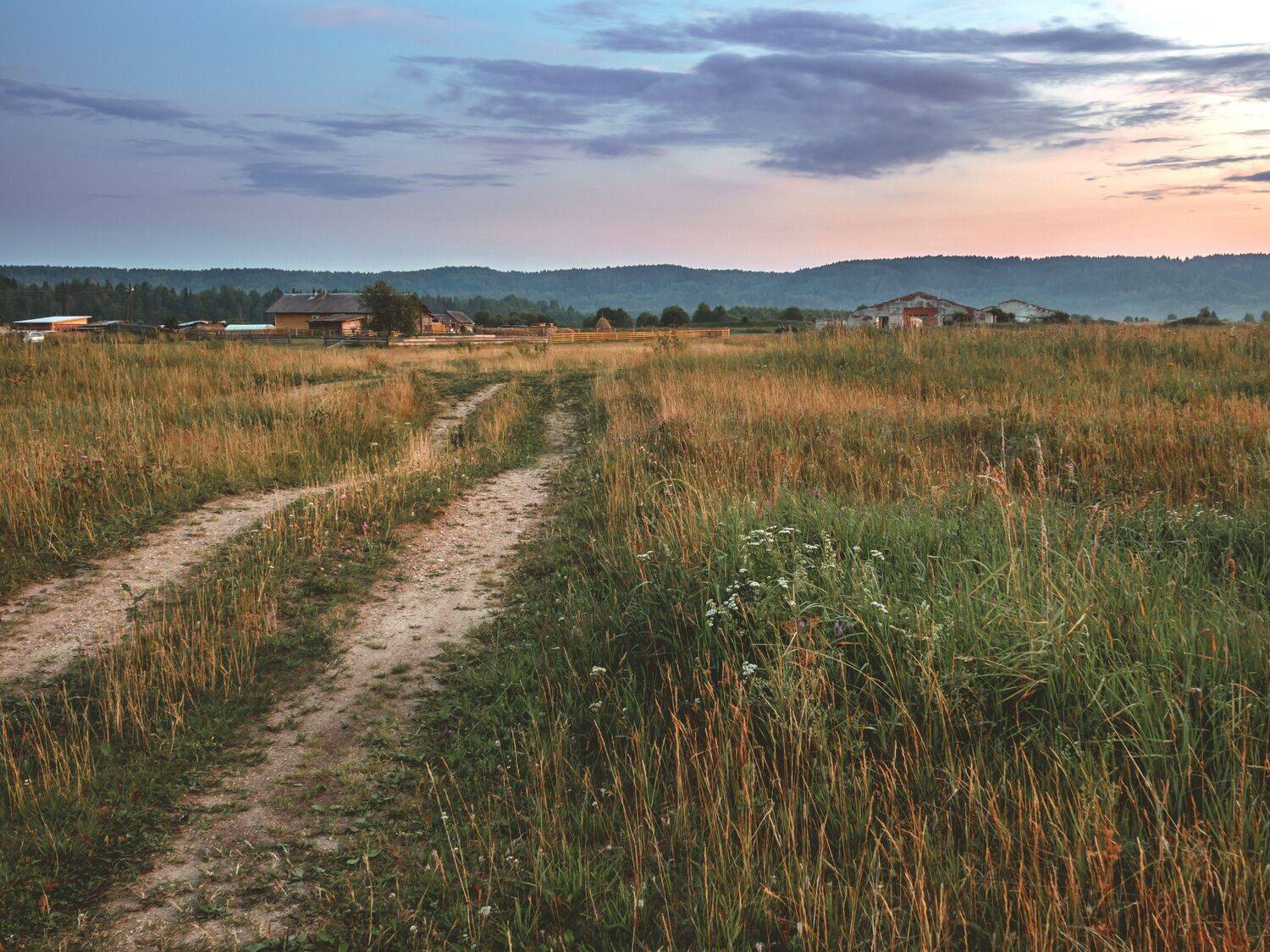 вечер, природа, дорога, закат, горизонт, холмы, луг, лето, трава, деревня, небо, Титов Александр