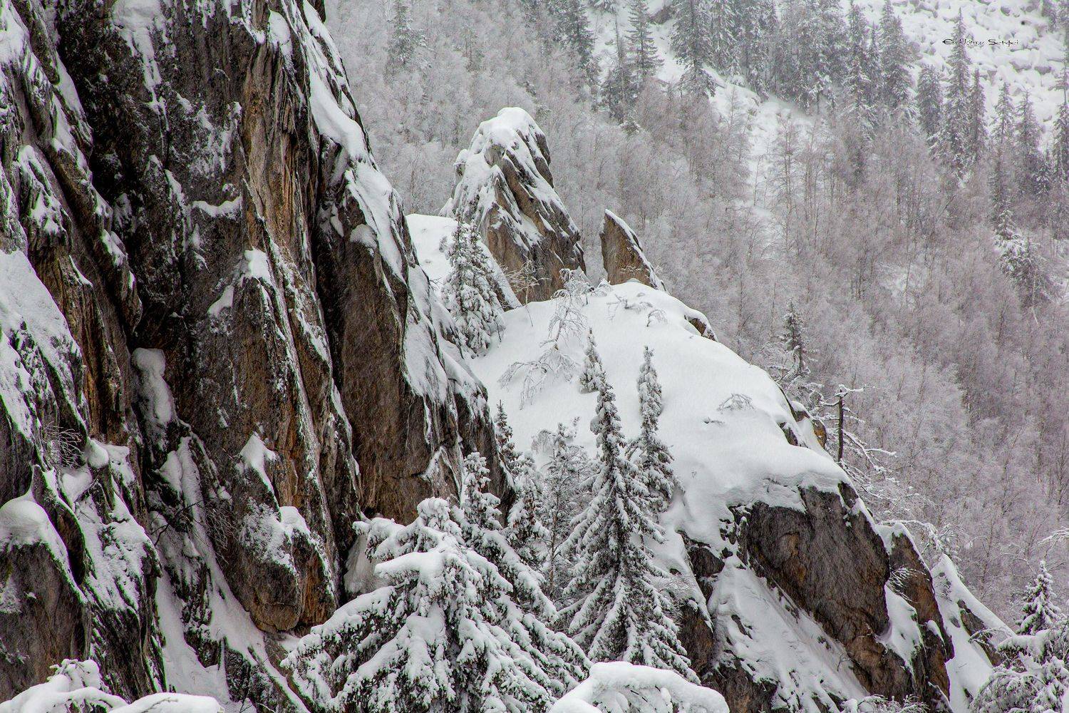 , Сергей Евдокимов