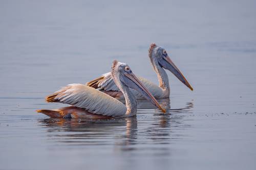 Smooth sailing