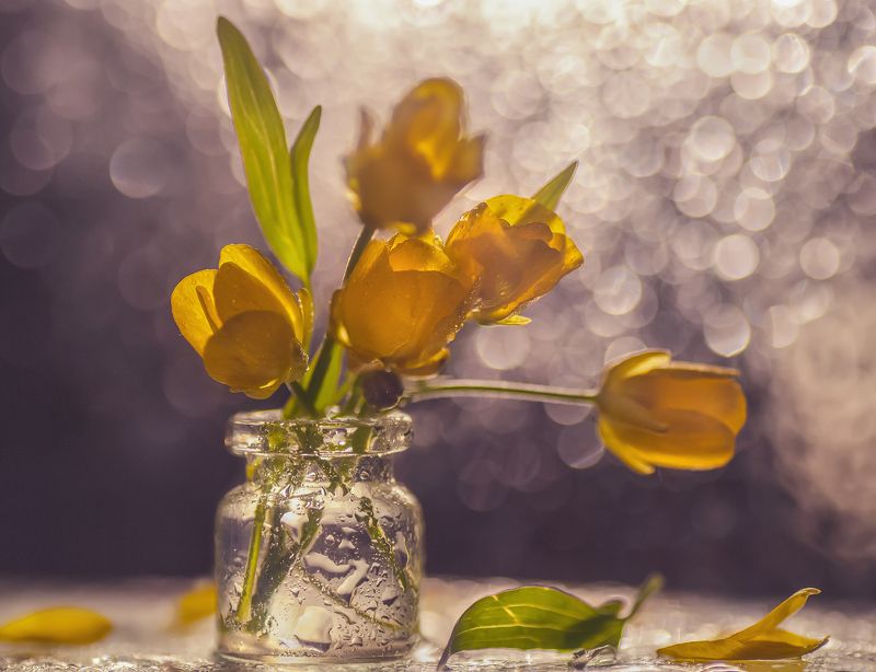 Жёлтенькие... фото превью