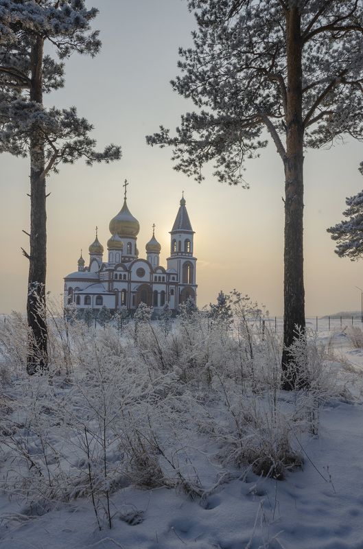 В зимнем лесу фото превью
