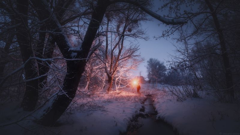 пейзаж, ночь, силует, снег, свет, тишина, безмолвие, присутствие, тайна, сияние, магия, уединение, украина, коростышев, \