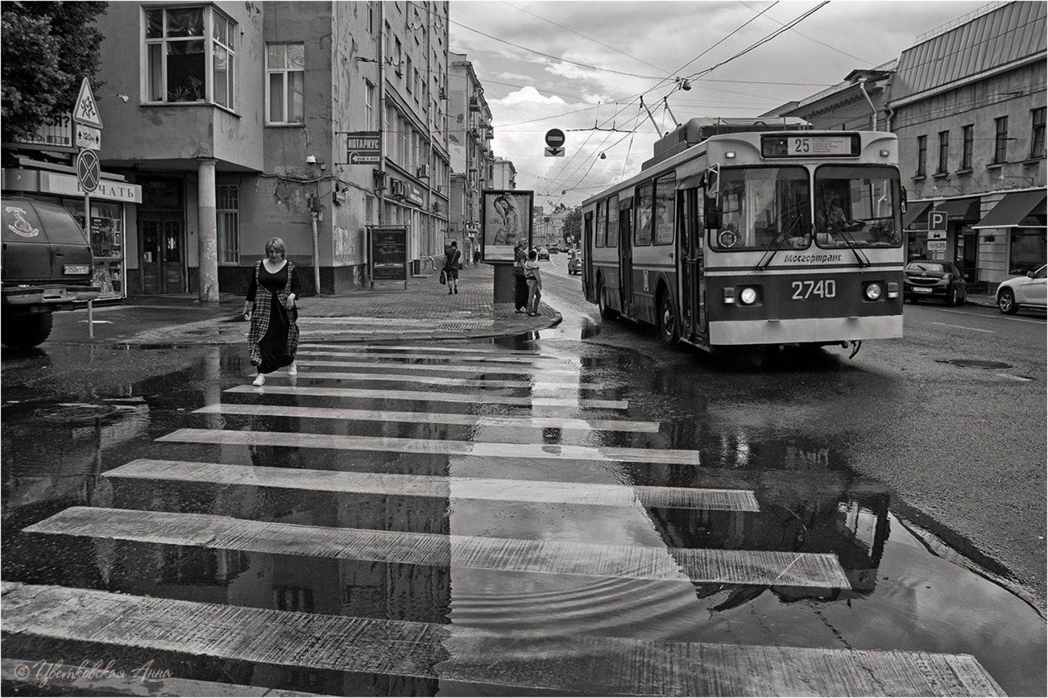город, москва, троллейбус, Анна Цветковская