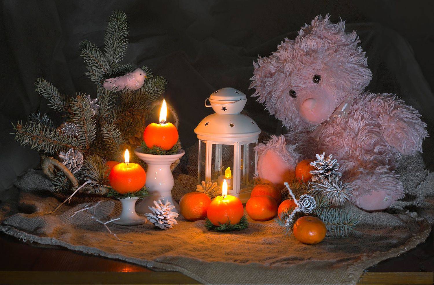 , Ольга Заболотская