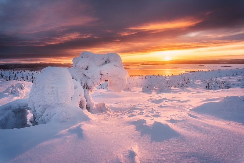 Заполярный рассвет фото превью