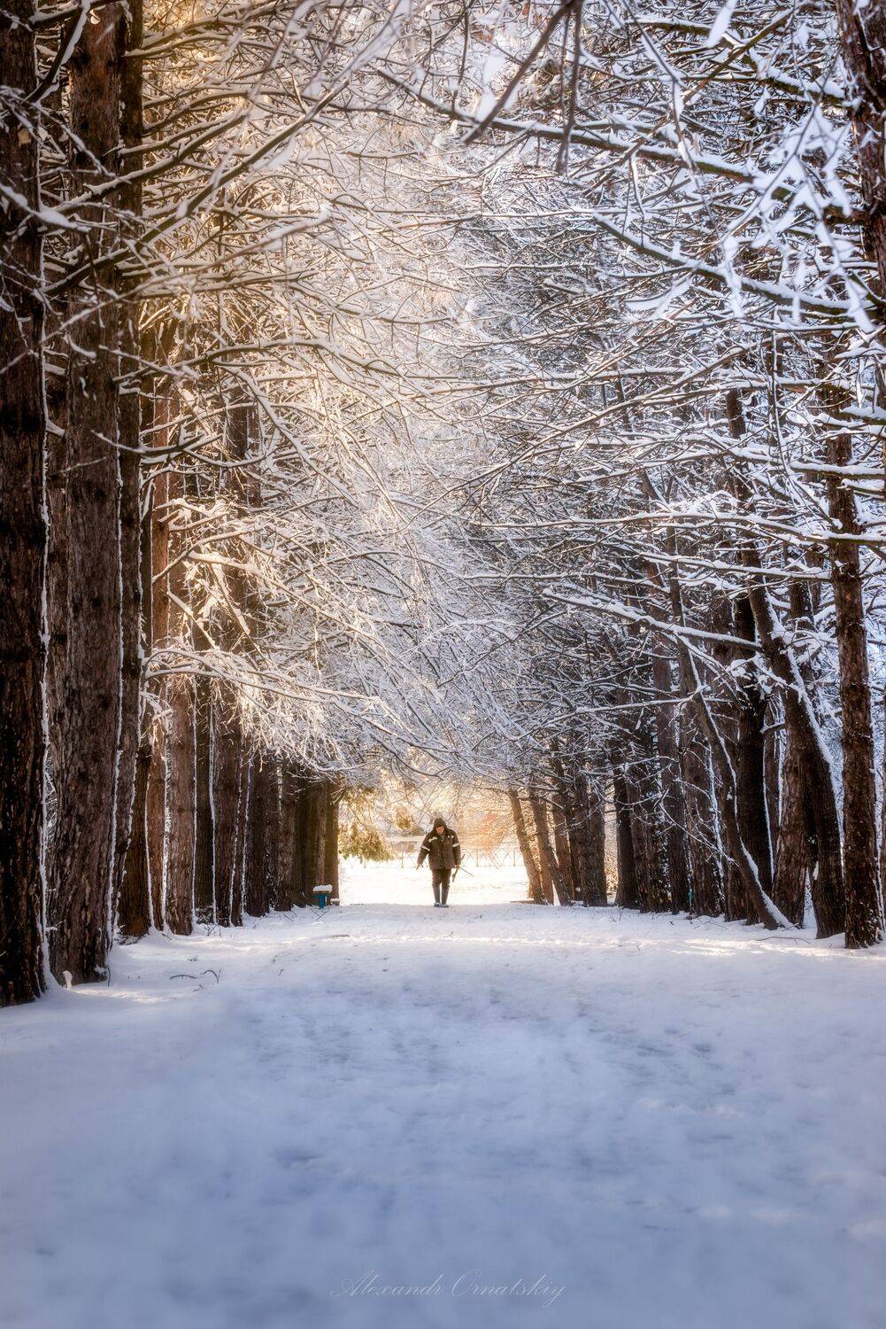 , Александр Орнатский