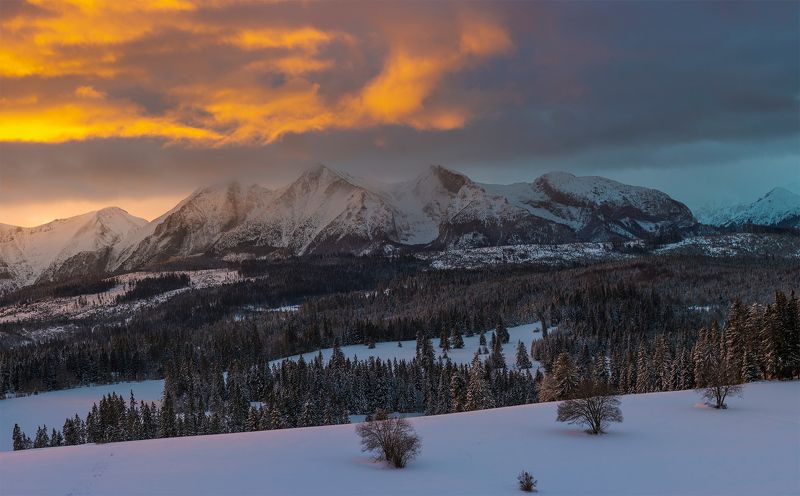 Winter in Poland фото превью