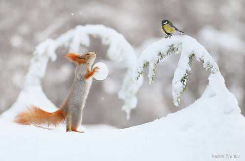 Поиграем в снежки