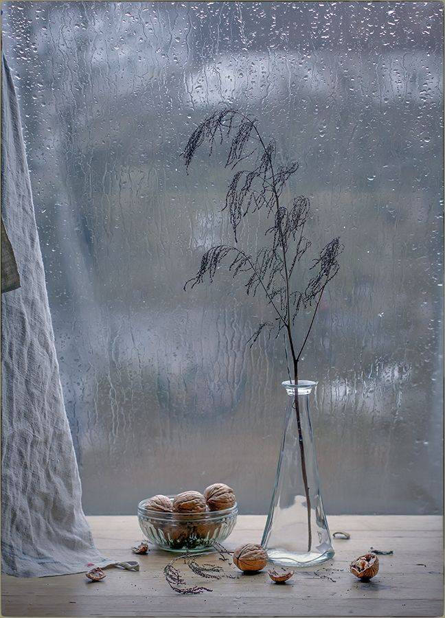 , Stein Georg