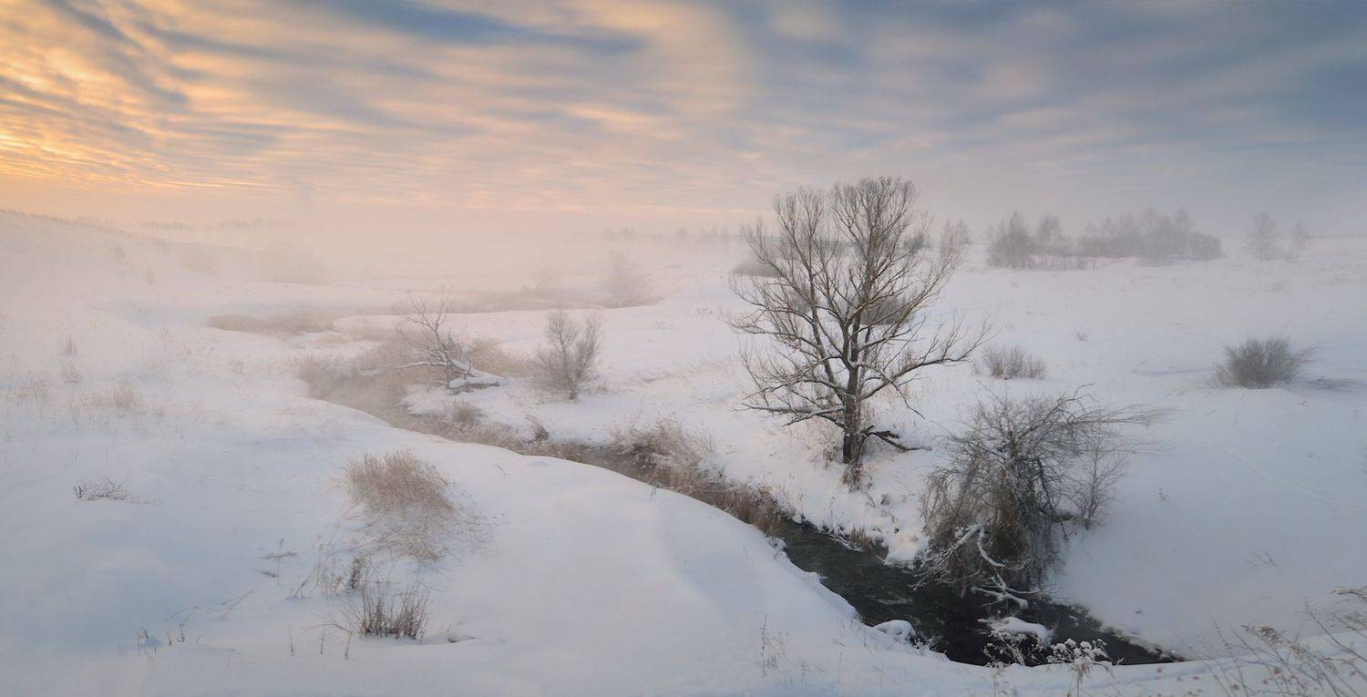 тула, деготня, кожуховка, Сергей Кочергин