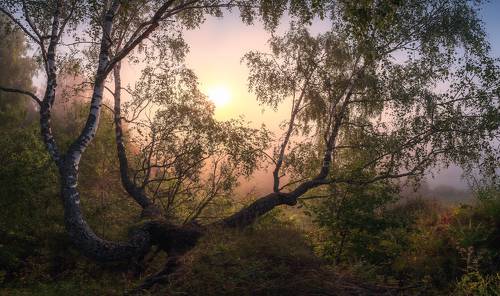 Рассветная