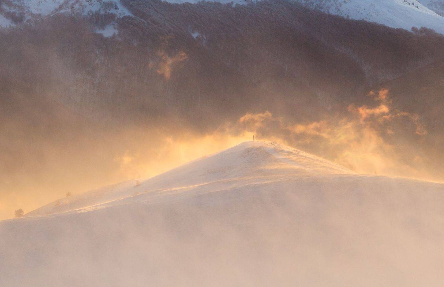 ,  Mirosław Pruchnicki